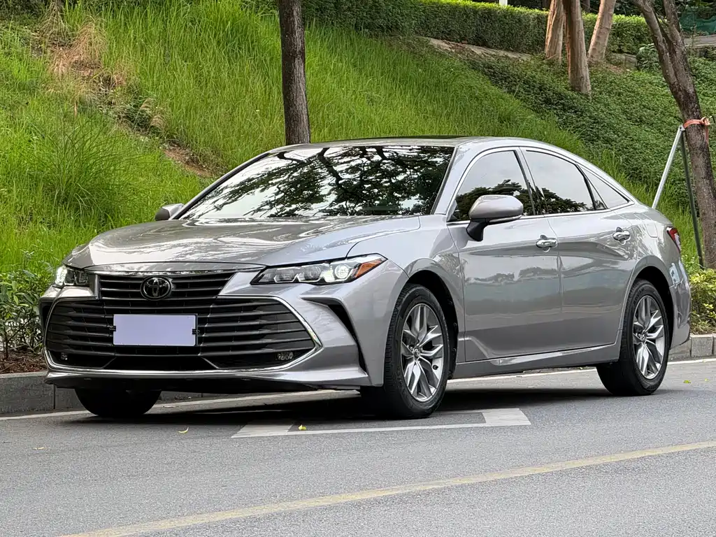 Toyota Avalon 2019 2.0L Luxury VI