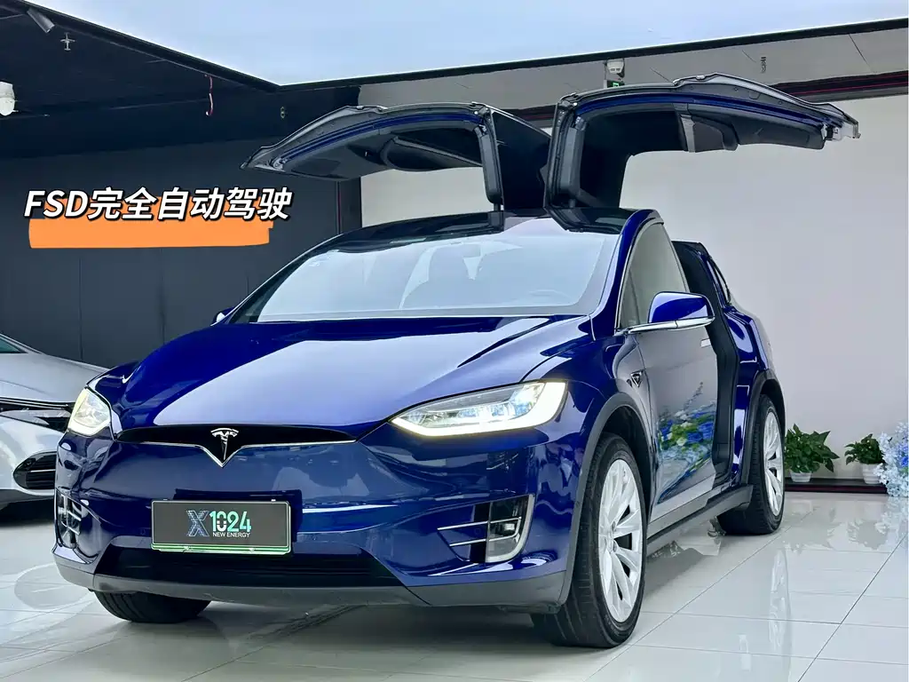 Tesla Model X 2019 Long Range