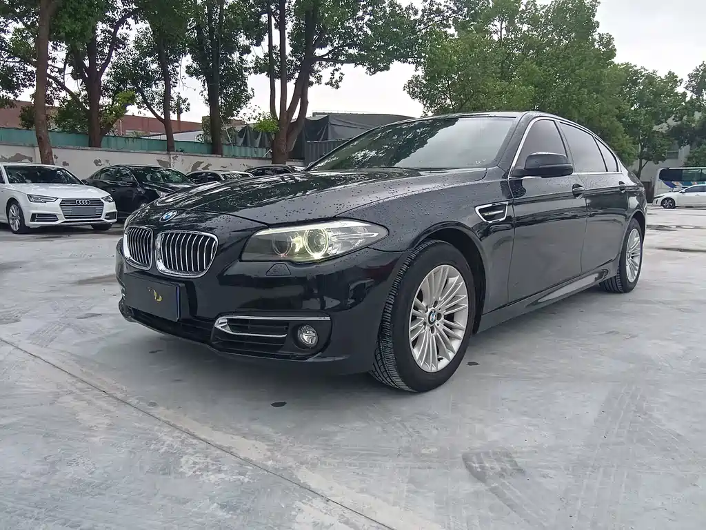 BMW 5 Series 5 2014 525Li Lead