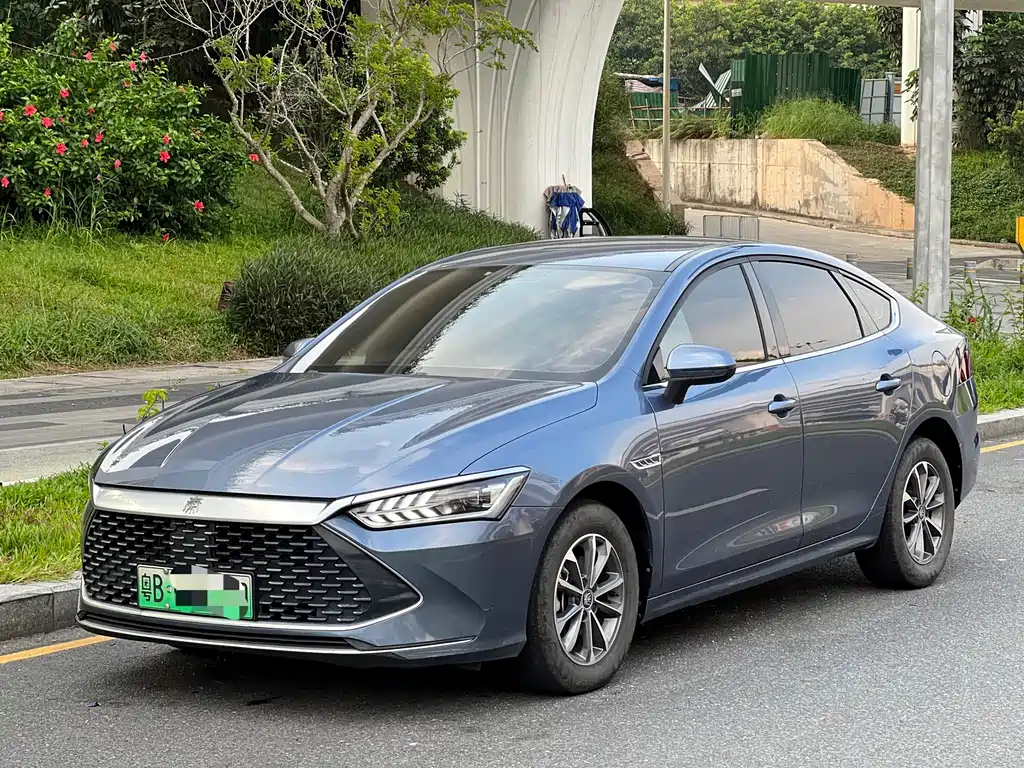 BYD Qin Plus PLUS 2024 DM-i 55KM Lead