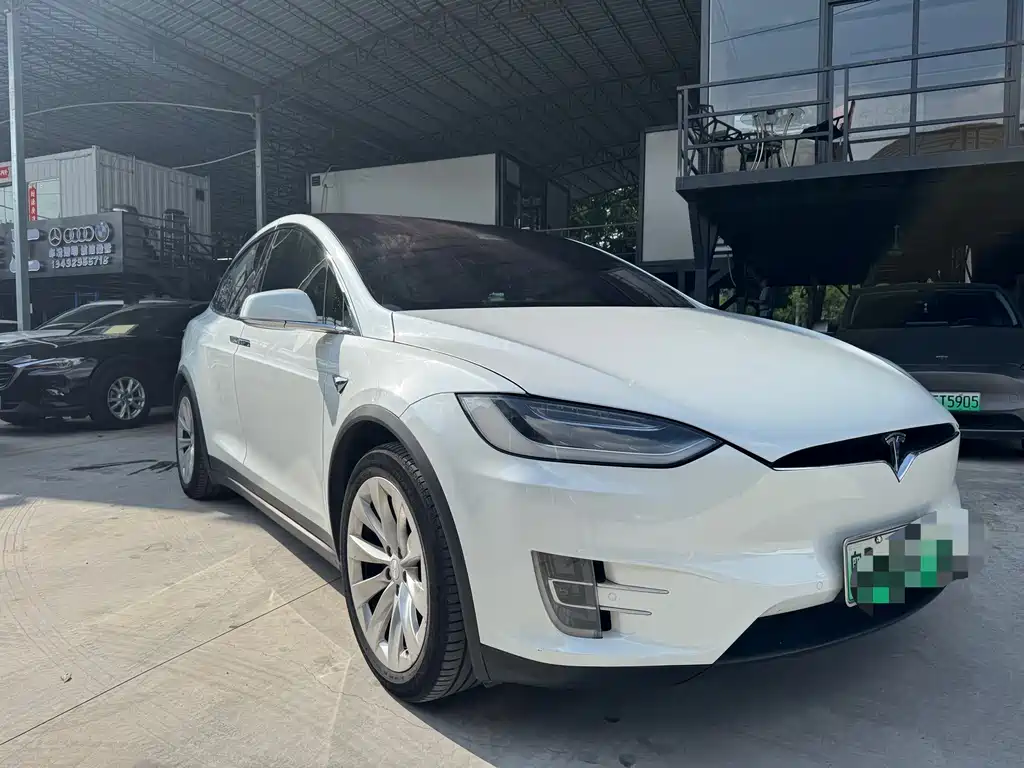 Tesla Model X 2017 Model X 100D