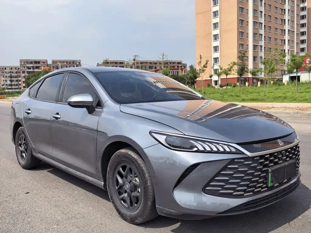 BYD Qin Plus PLUS 2025 DM-i Smart Drive 55KM Lead