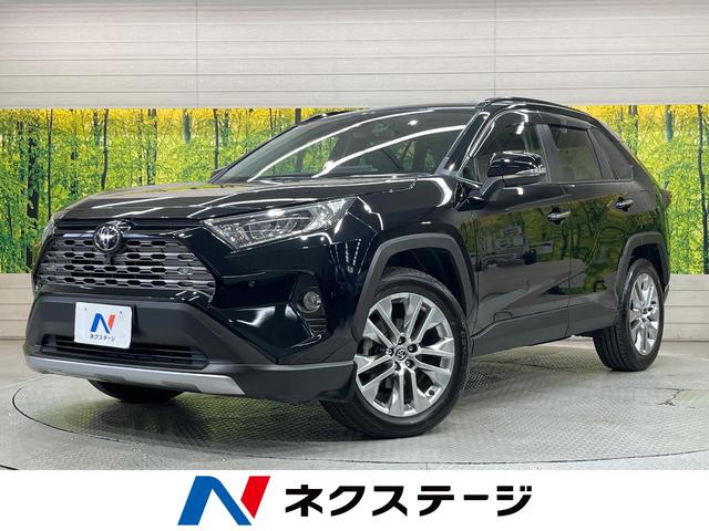 Toyota RAV4 G Z Package