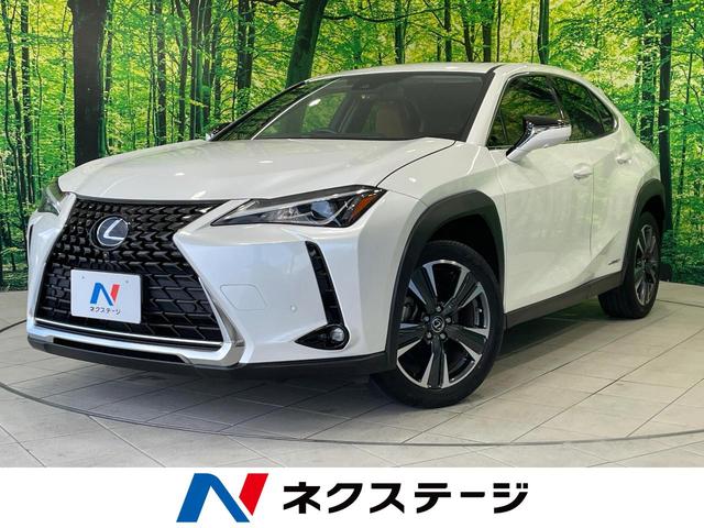 Lexus UX 250h C