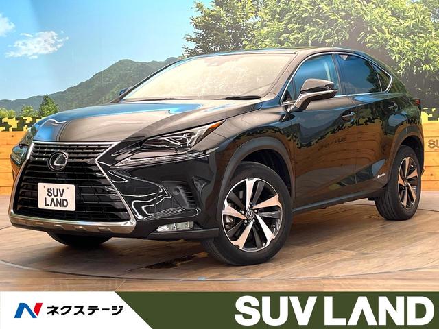 Lexus NX 300h L