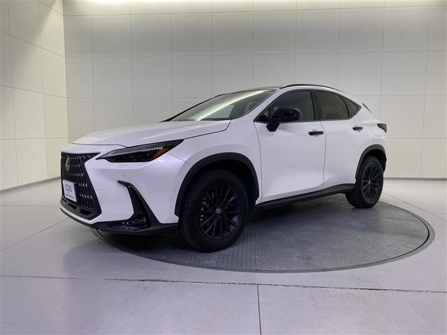 Lexus NX — Фотографии автомобиля 1