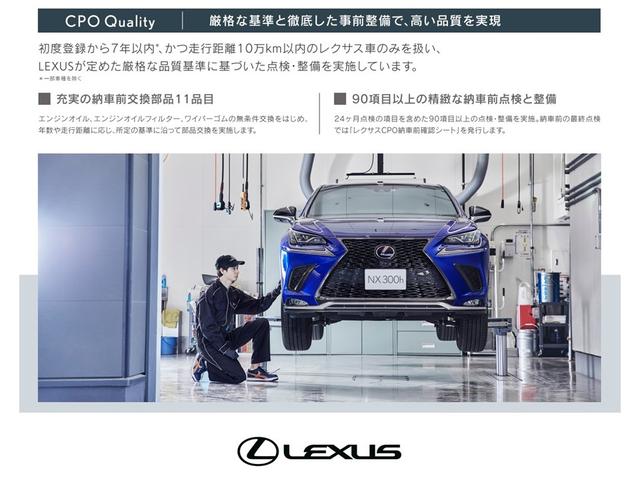Lexus NX — Фотографии автомобиля 21