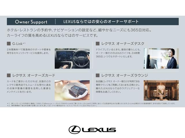 Lexus NX — Фотографии автомобиля 23