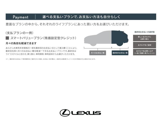 Lexus NX — Фотографии автомобиля 24