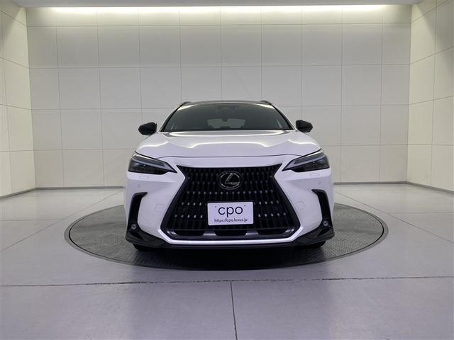 Lexus NX — Фотографии автомобиля 5