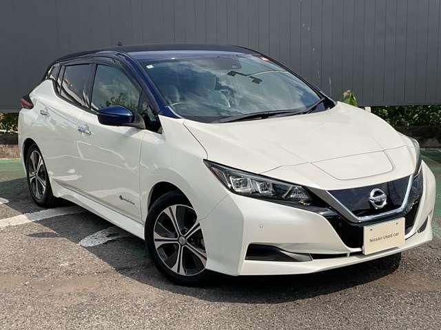 Nissan Leaf X 10 — Фотографии автомобиля 33