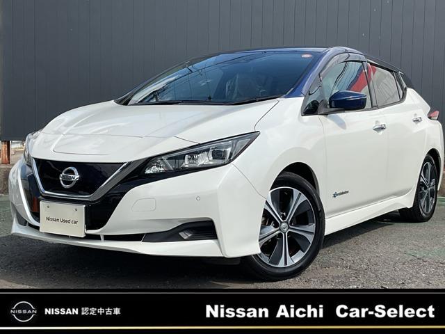 Nissan Leaf X 10