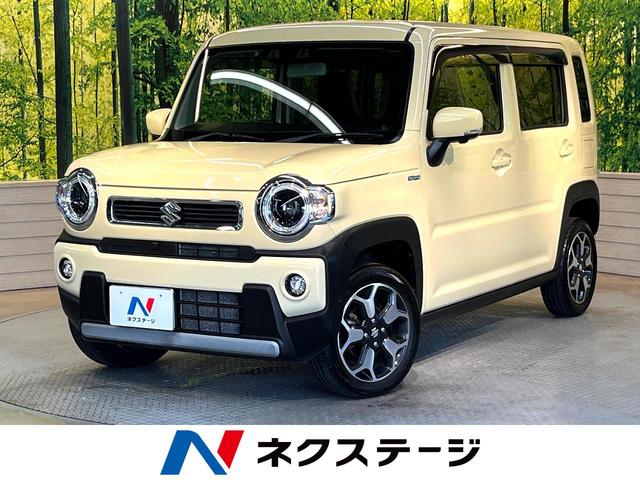 Suzuki Hustler X