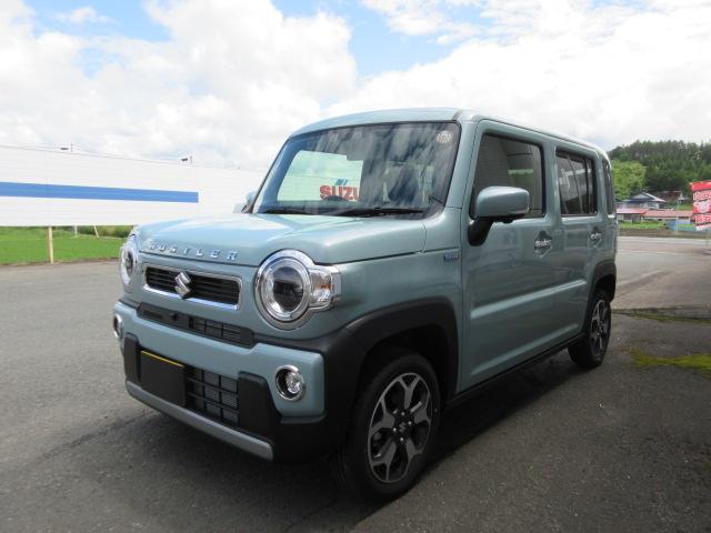 Suzuki Hustler X