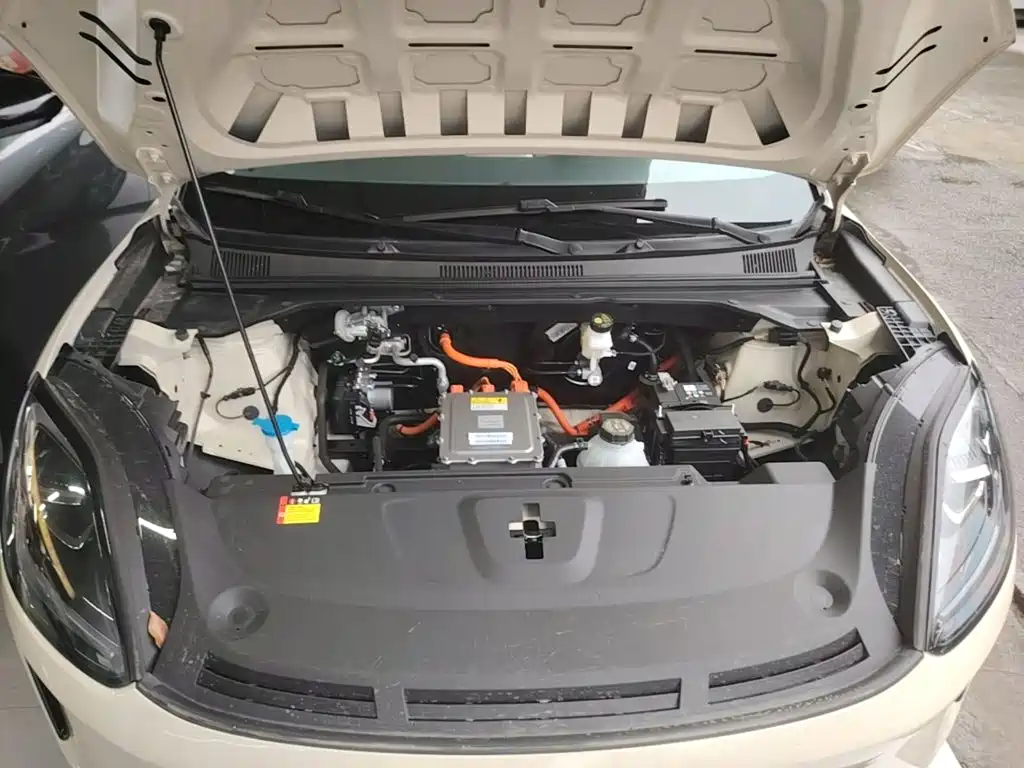 Wuling BinguoS S 2025 430km Flagship — Фотографии автомобиля 20