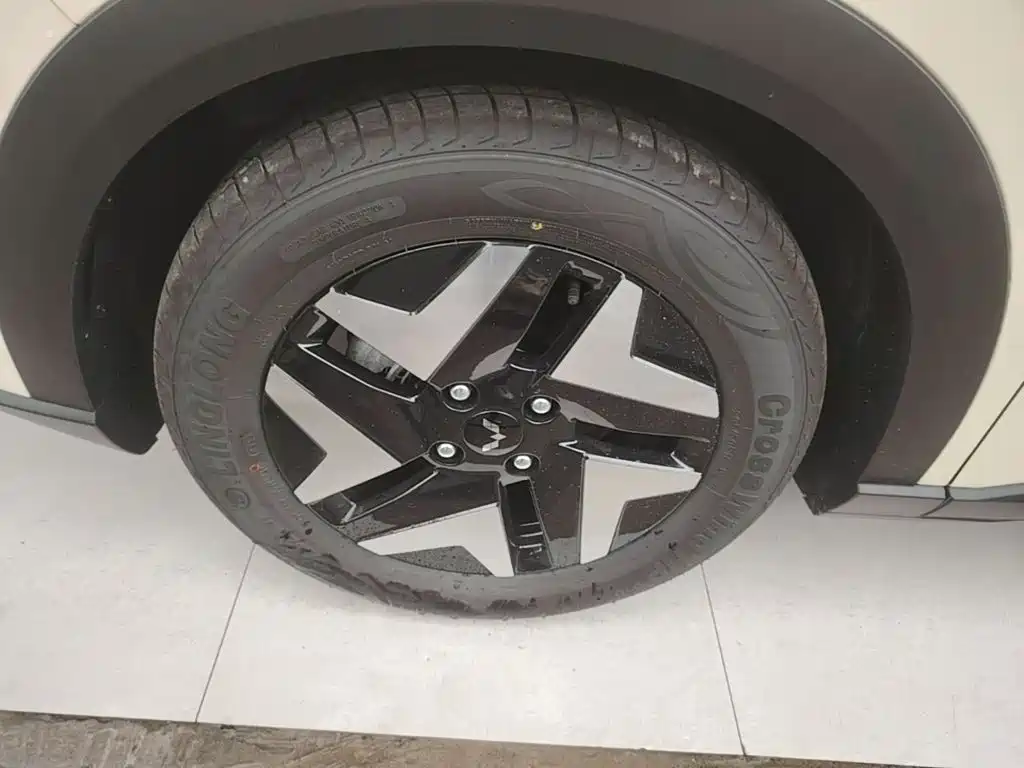 Wuling BinguoS S 2025 430km Flagship — Фотографии автомобиля 23