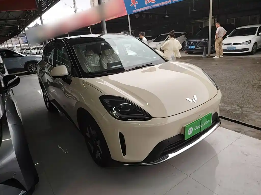 Wuling BinguoS S 2025 430km Flagship — Фотографии автомобиля 4