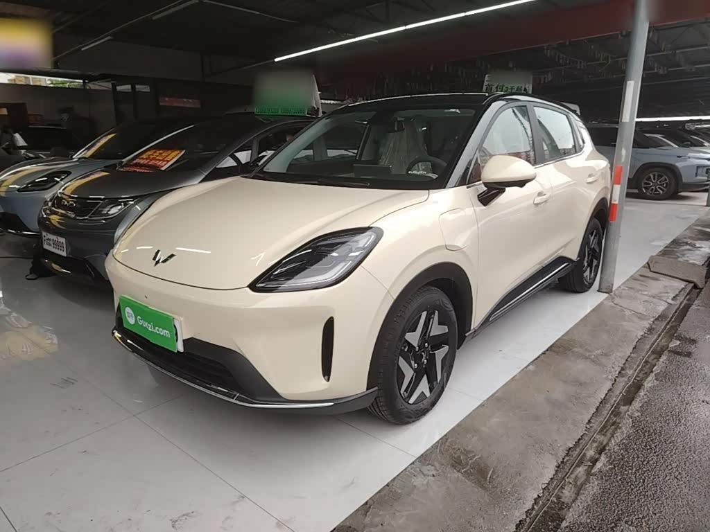 Wuling BinguoS 2025 430km Flagship