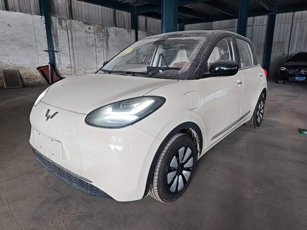 Wuling Binguo 2025 333km Enjoy