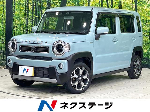 Suzuki Hustler X