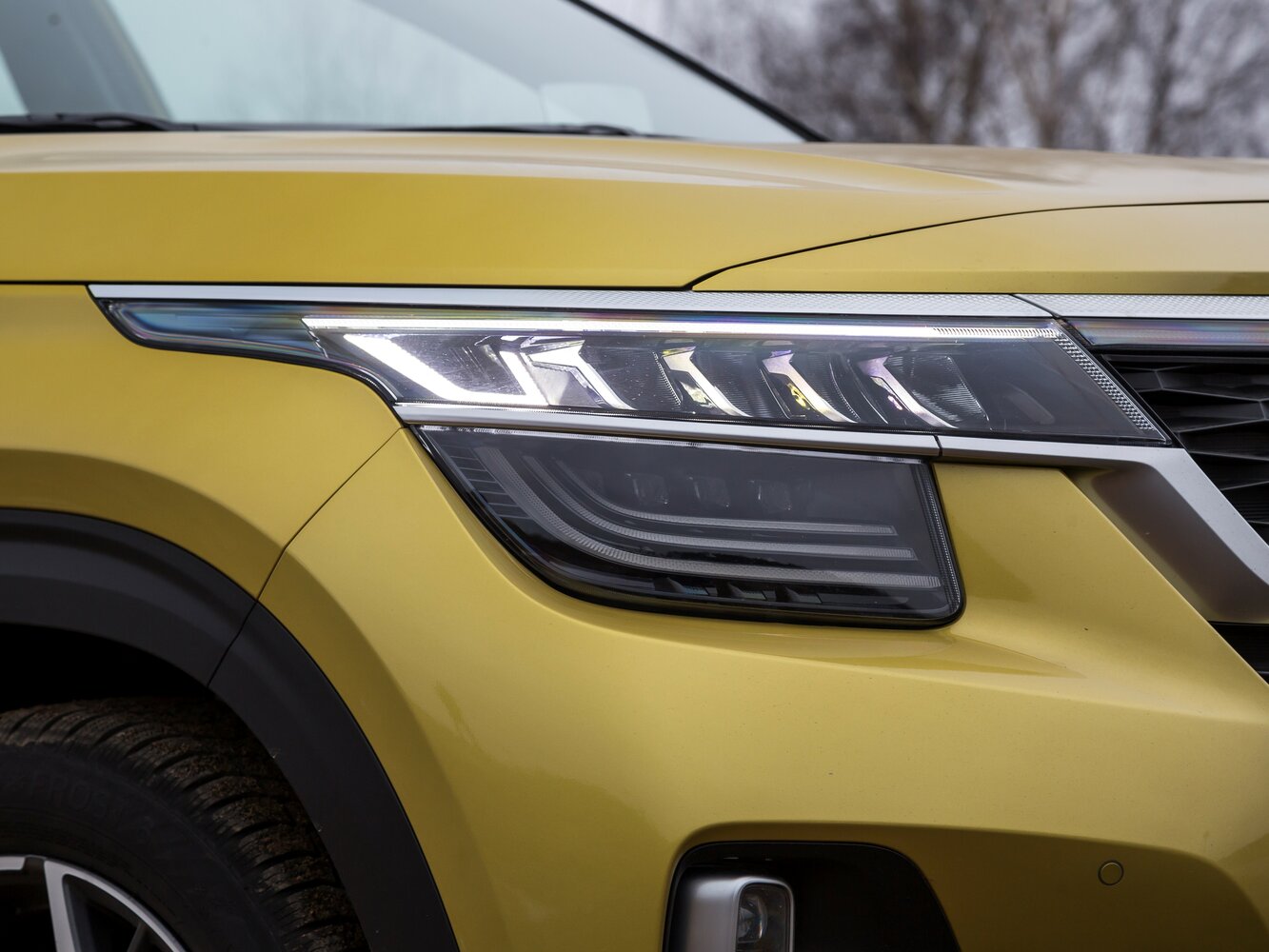 Kia Seltos Noblesse — Фотографии комплектации 29