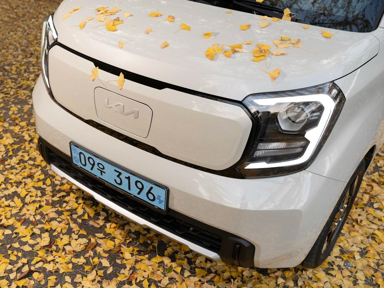 Kia Ray Signature — Фотографии комплектации 10