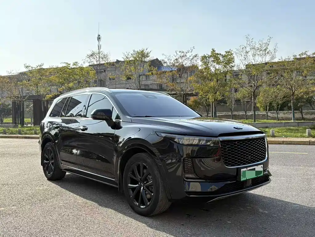 Li Auto ONE 2021 6 мест — Фотографии автомобиля 3