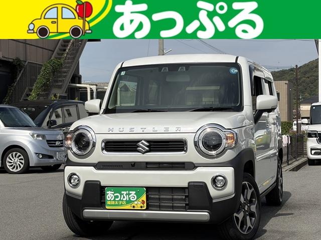 Suzuki Hustler X