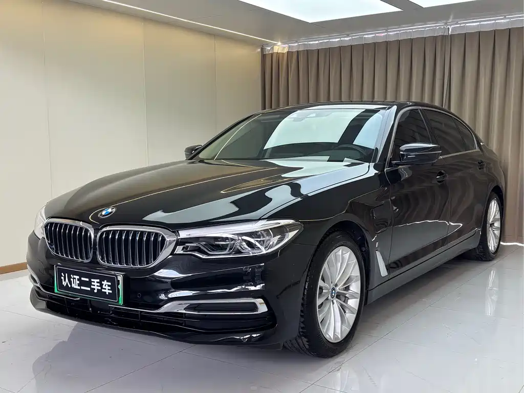 BMW 5 Series 5 2019 Updated 530Le