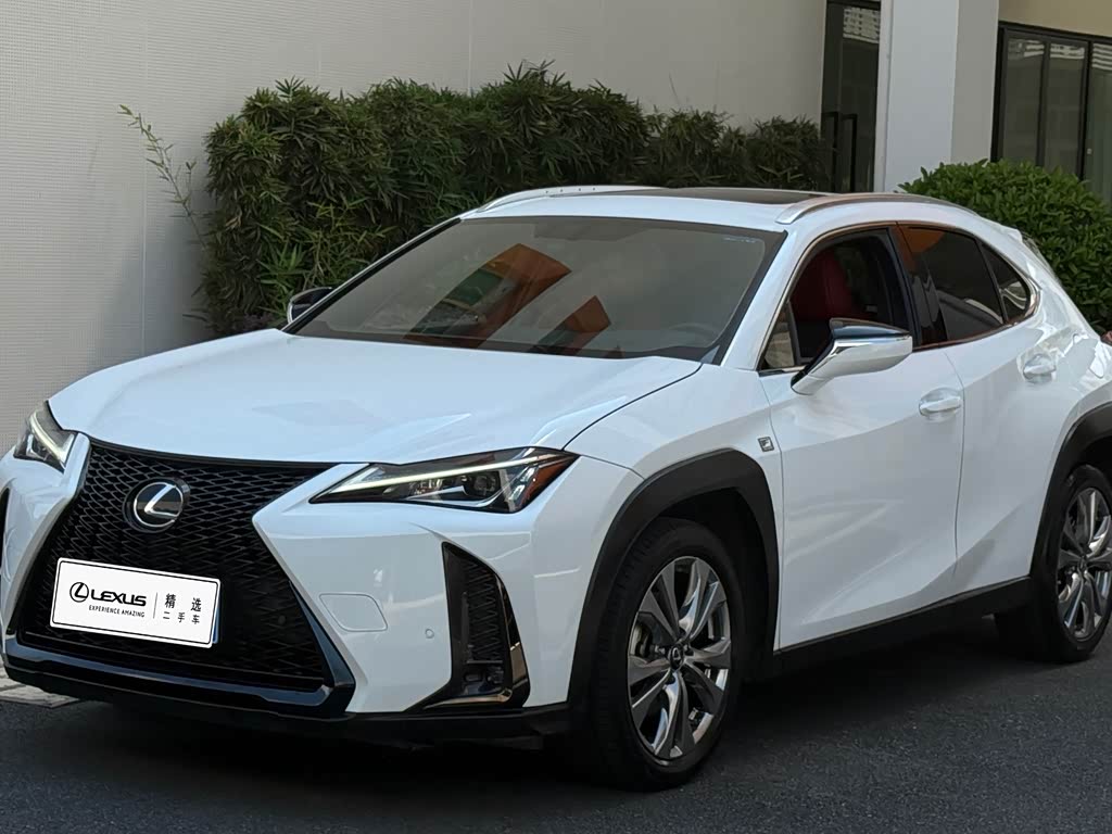 Lexus UX 2019 200 F SPORT