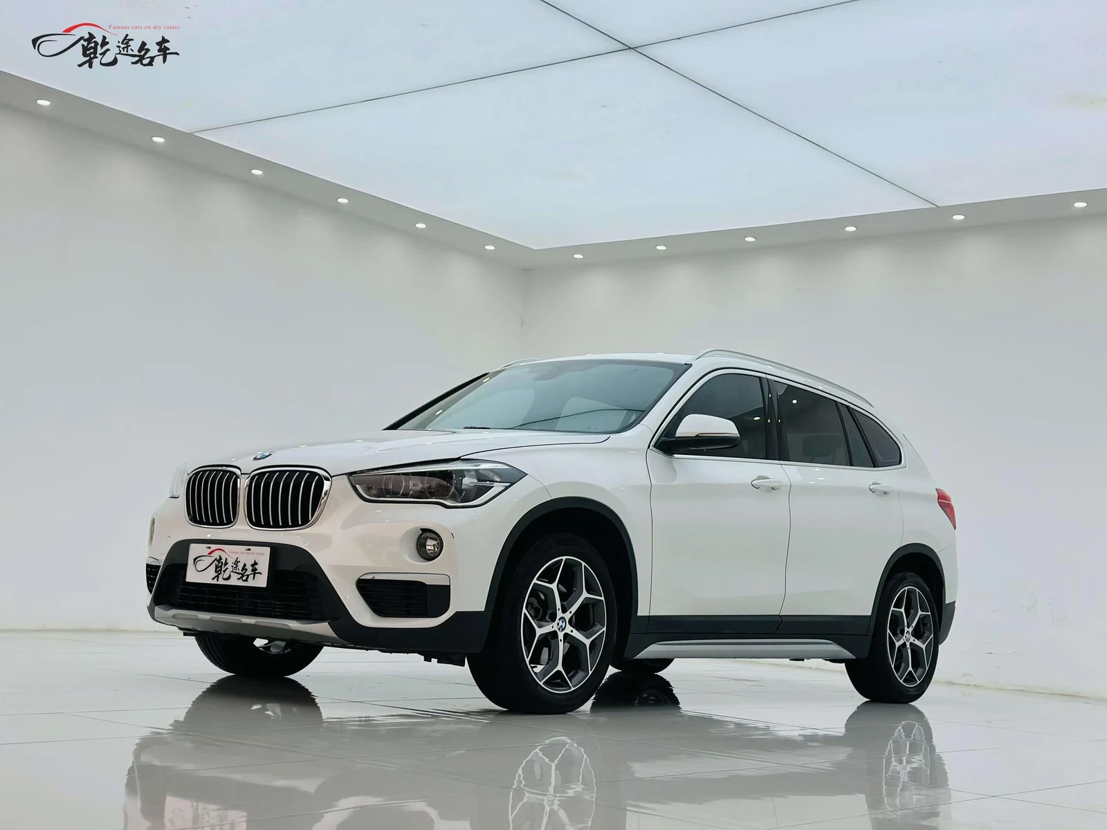 BMW X1 2019 sDrive18Li Premium