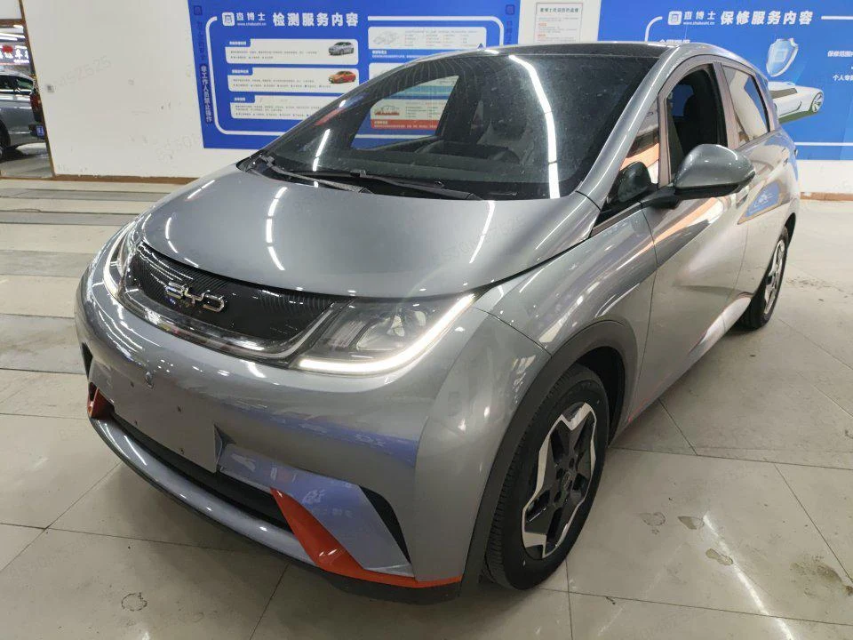 BYD Dolphin 2021 Fashion