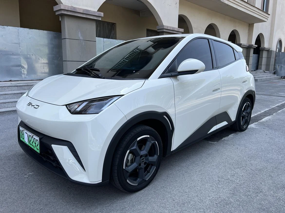 BYD Seagull 2023 Flying