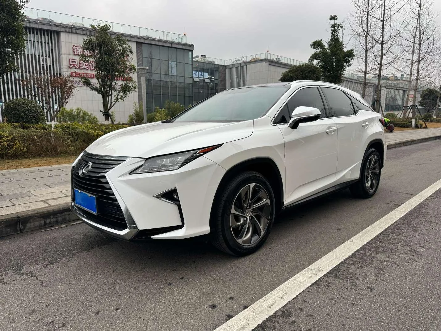 Lexus RX 2016 300 Elegant V