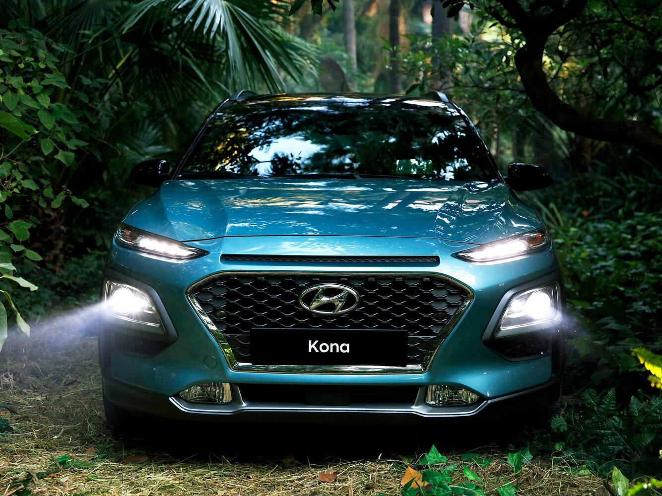 Hyundai Kona Premium — Фотографии комплектации 2