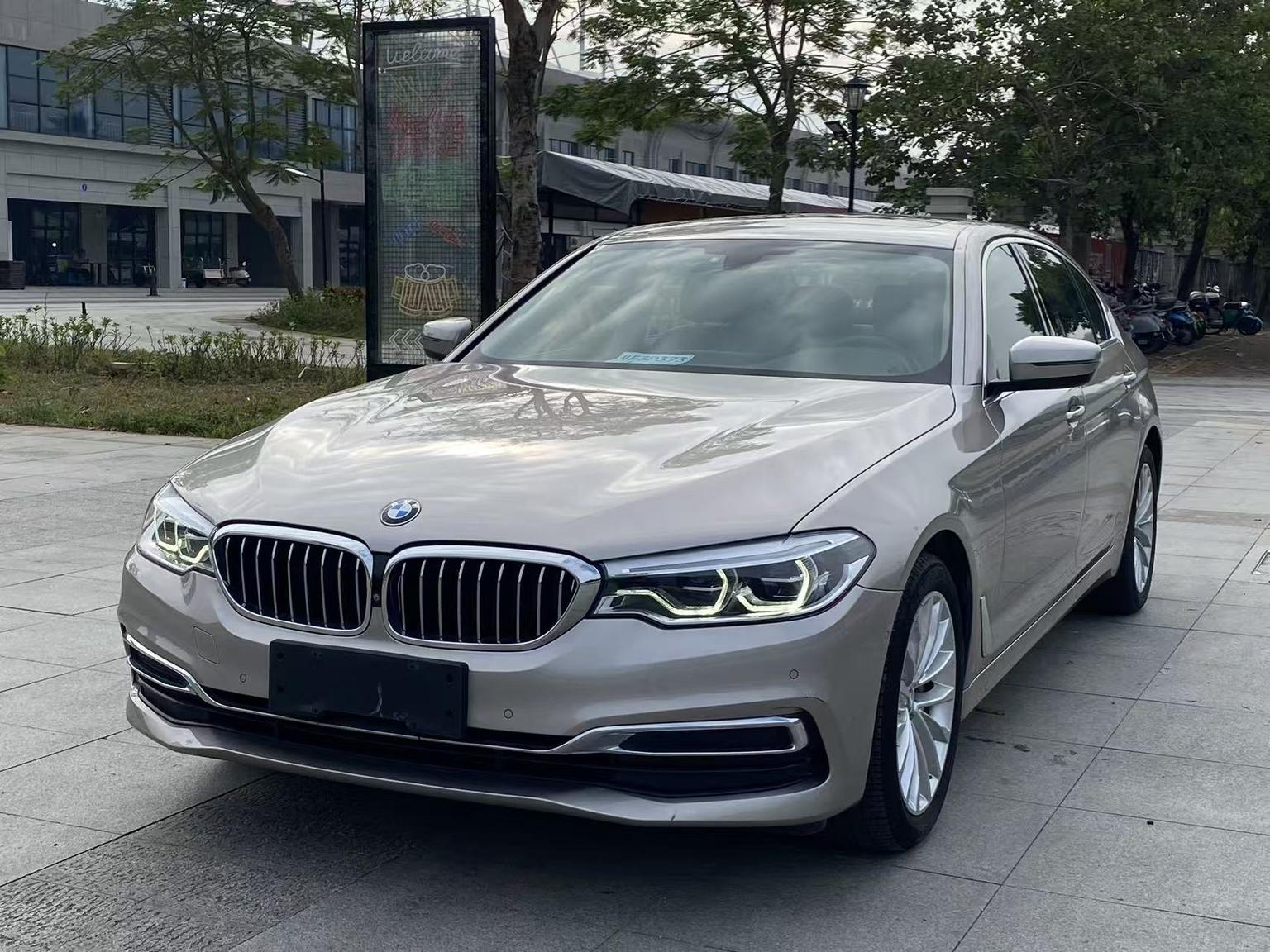 BMW 5 Series 5 2020 530Li Lead Luxury