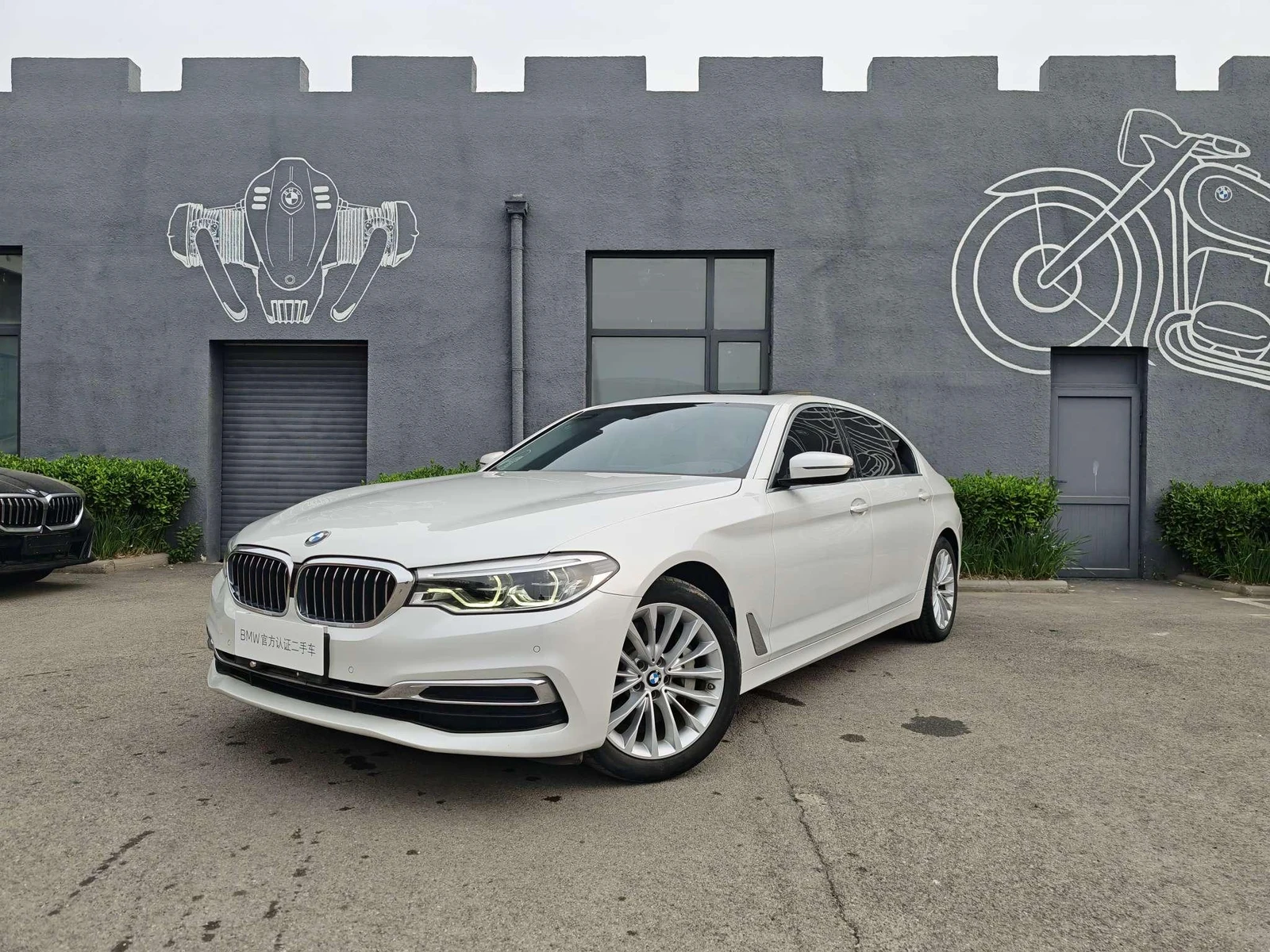 BMW 5 Series 5 2020 530Li Lead Luxury