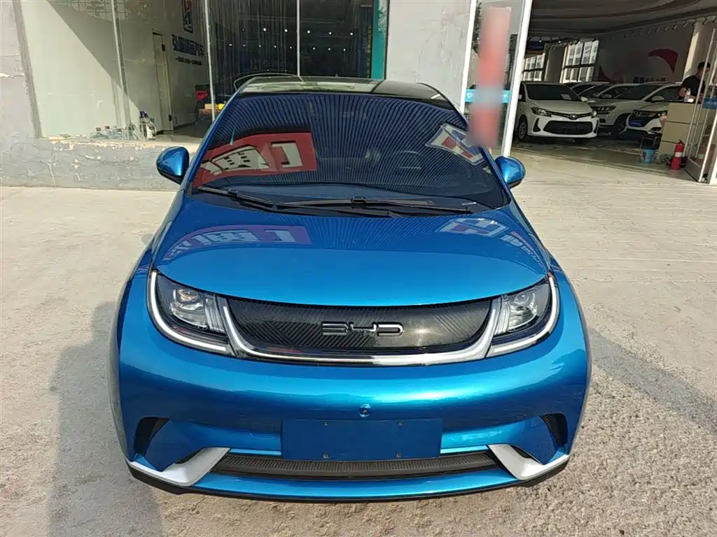 BYD Dolphin 2021 405km Fashion — Фотографии автомобиля 3