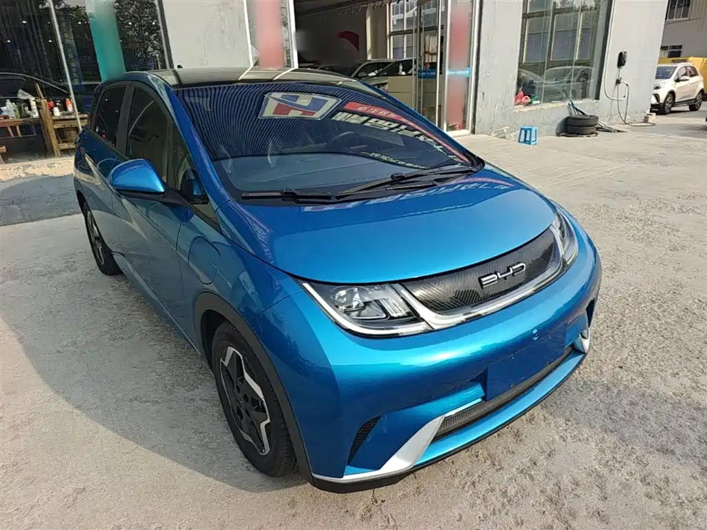 BYD Dolphin 2021 405km Fashion — Фотографии автомобиля 4