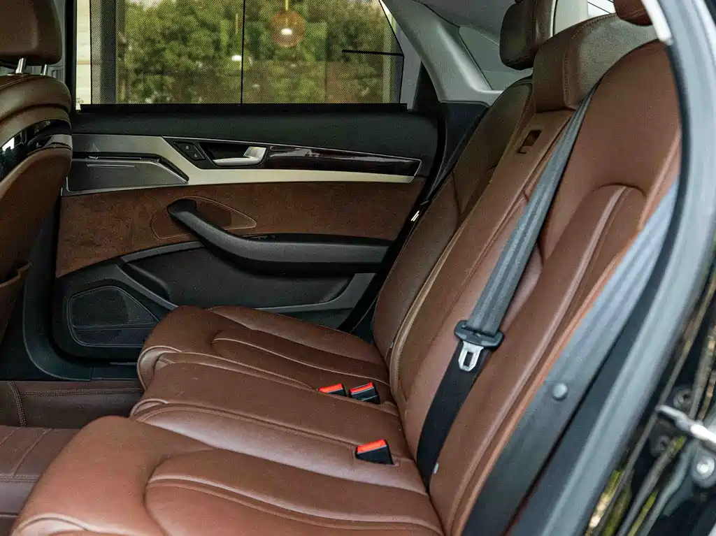 Audi A8 2017 A8L 45 TFSI quattro — Фотографии автомобиля 19