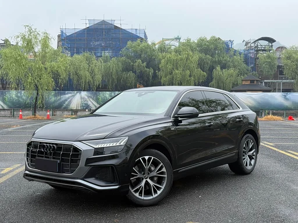 Audi Q8 2024 55 TFSI Luxury