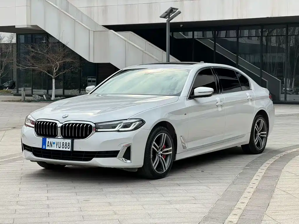 BMW 5 Series 5 2021 530Li Lead Luxury
