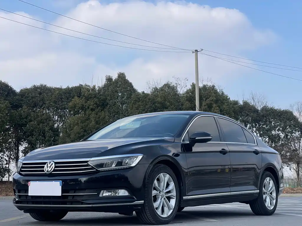 Volkswagen Magotan 2018 330TSI DSG Luxury