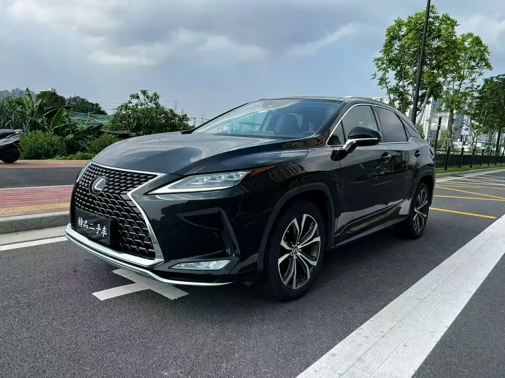 Lexus RX 2020 300 Elegant VI — Фотографии автомобиля 1