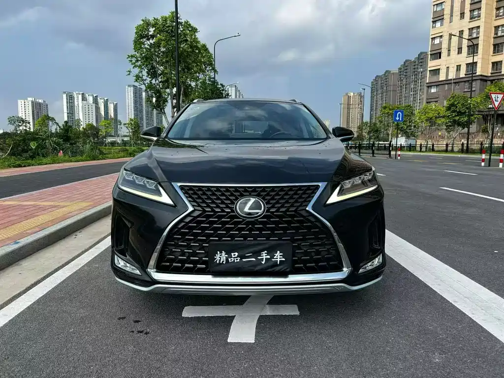 Lexus RX 2020 300 Elegant VI — Фотографии автомобиля 2