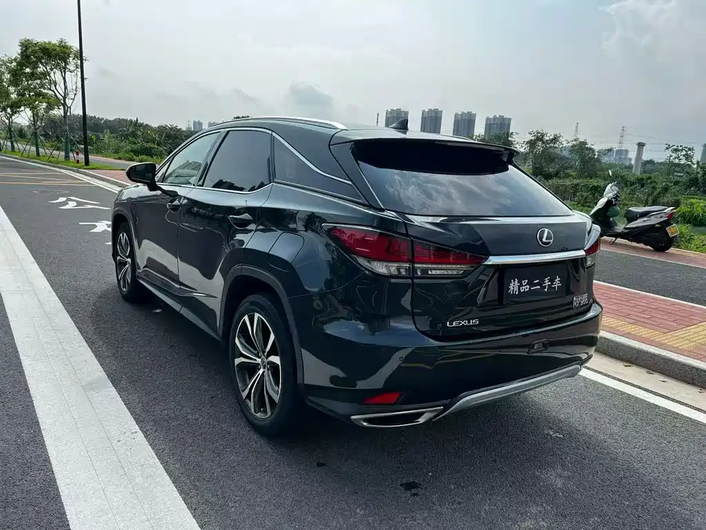 Lexus RX 2020 300 Elegant VI — Фотографии автомобиля 6