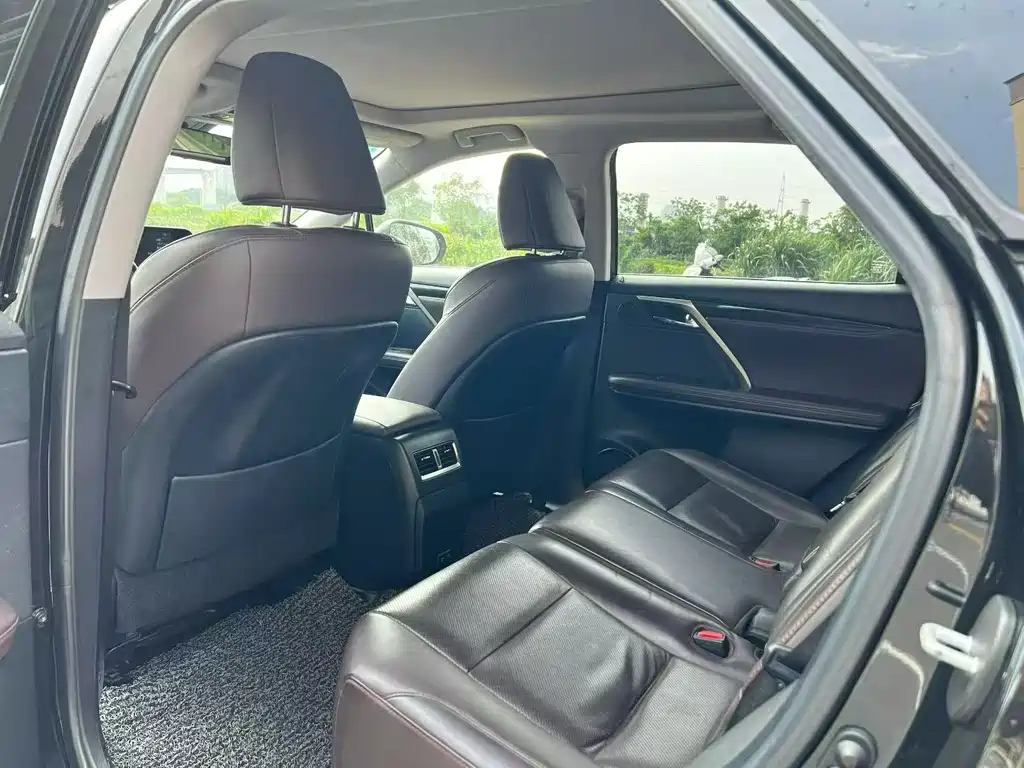 Lexus RX 2020 300 Elegant VI — Фотографии автомобиля 7