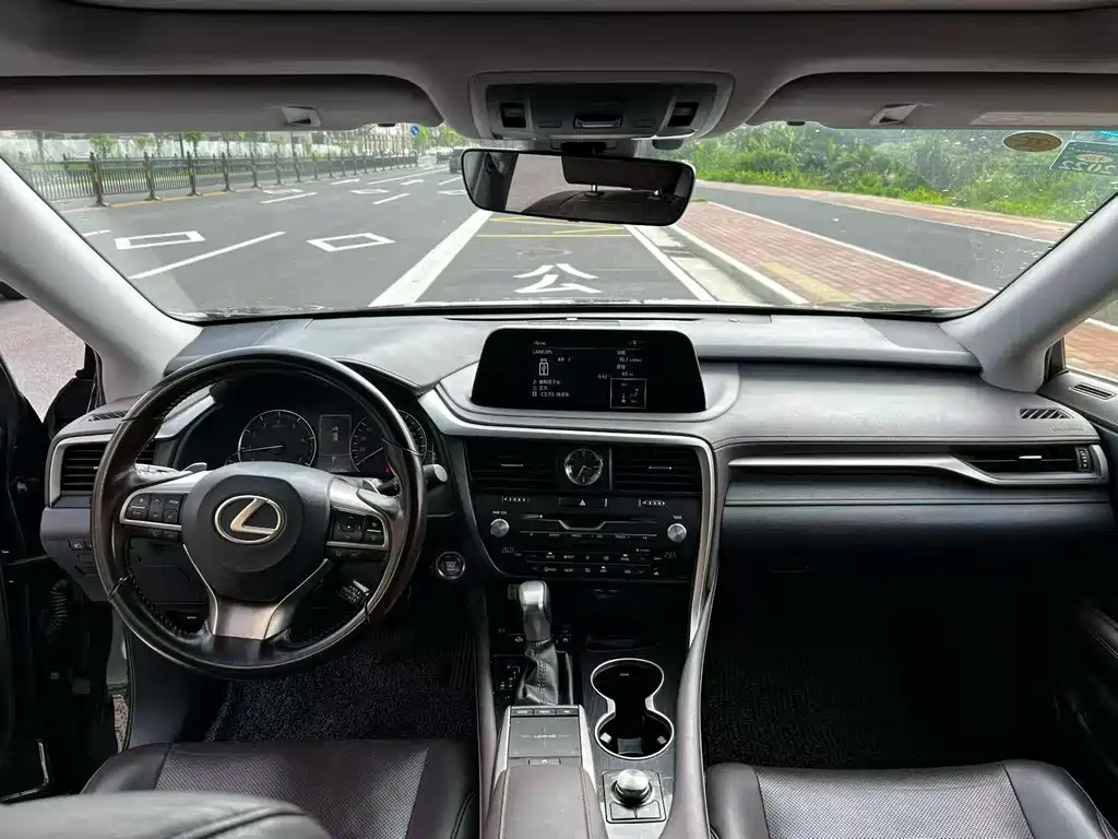 Lexus RX 2020 300 Elegant VI — Фотографии автомобиля 8