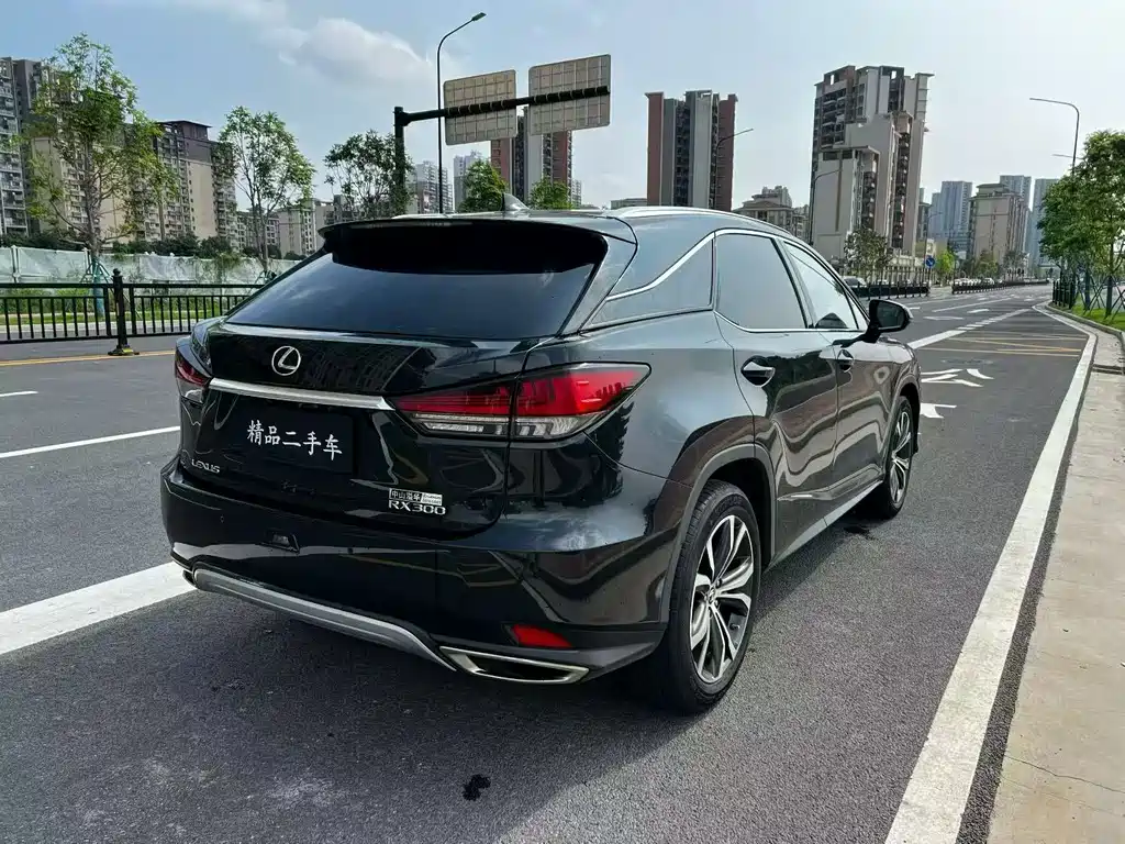 Lexus RX 2020 300 Elegant VI — Фотографии автомобиля 9