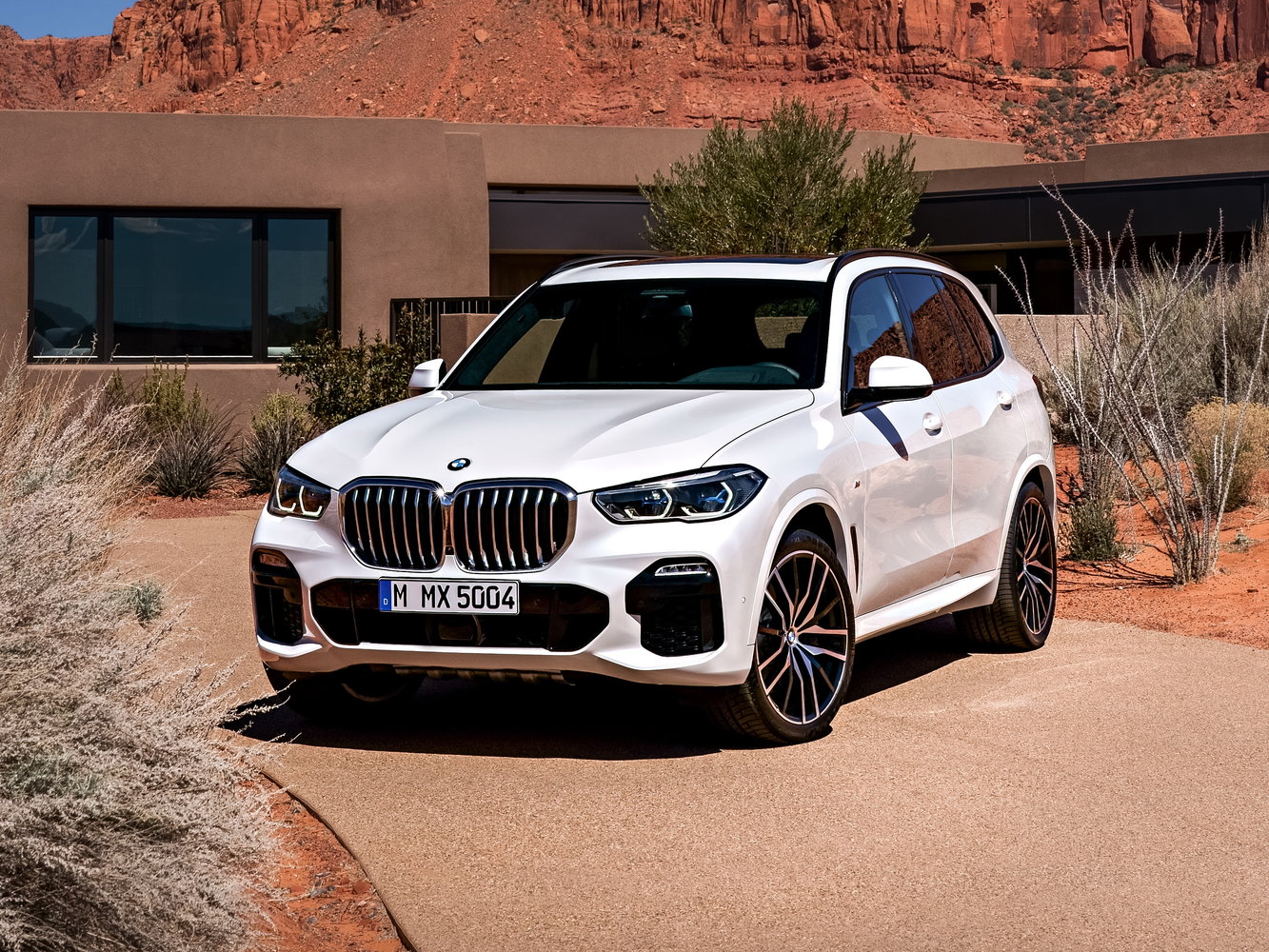 BMW X5 2022 xDrive30i M Sport — Фотографии комплектации 1